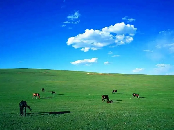 1592535761248099178.jpg 1q.jpg