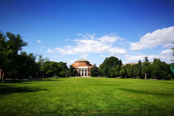 1585831931920030170.jpg a1.jpg