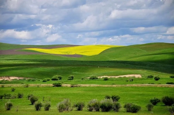 1592535841798088423.jpg 1e.jpg