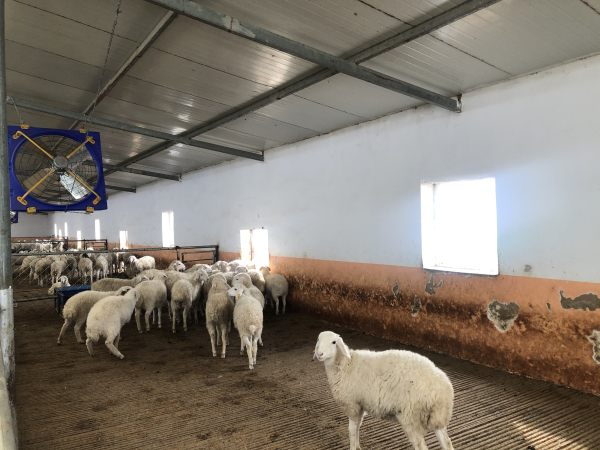 1606806270498084231.jpg 7(2).jpg