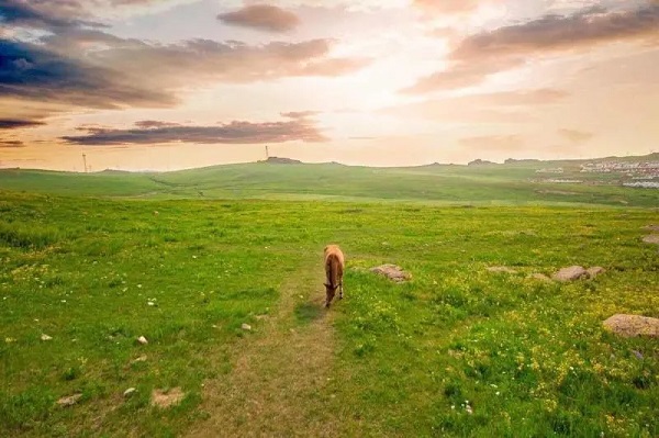 1592533932443027347.jpg b1.jpg