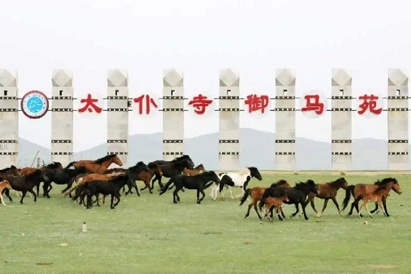 1592533982575002259.jpg b2.jpg