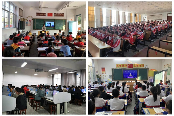 1606459706663005052.jpg 4.jpg