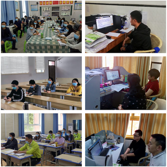 1611538792325087781.png s.png